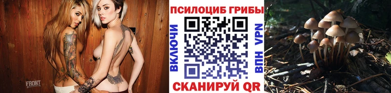 Галлюциногенные грибы MAGIC MUSHROOMS  Щёкино 